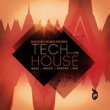 TECH TO HOUSE(オンライン納品)(2時間以内に納品)