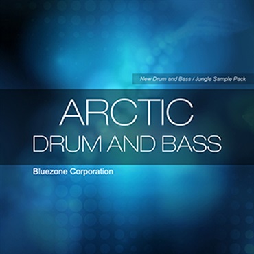 ARCTIC DRUM & BASS(オンライン納品)(2時間以内に納品)