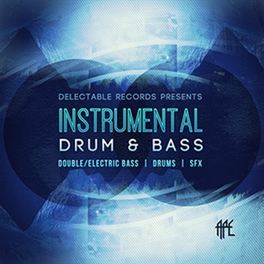 INSTRUMENTAL DRUM & BASS(オンライン納品)(2時間以内に納品)
