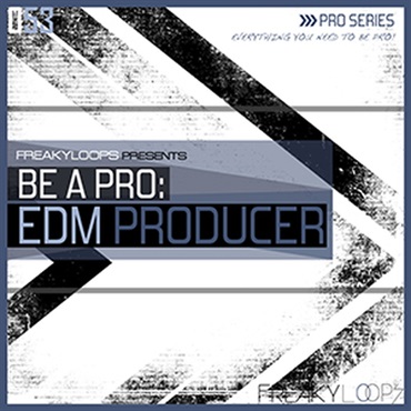 BE A PRO EDM PRODUCER(オンライン納品)(2時間以内に納品)
