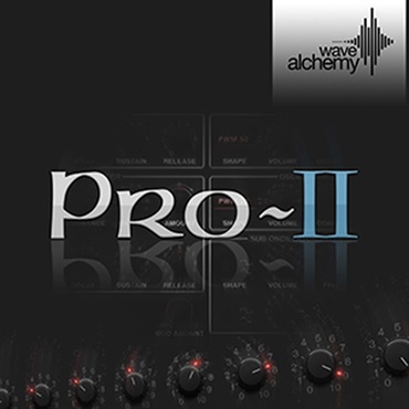 PRO 2(オンライン納品)(2時間以内に納品)