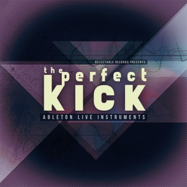 THE PERFECT KICK(オンライン納品)(2時間以内に納品)