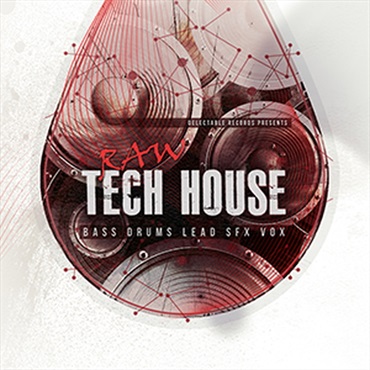 RAW TECH HOUSE(オンライン納品)(2時間以内に納品)