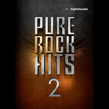PURE ROCK HITS 2(オンライン納品)(2時間以内に納品)