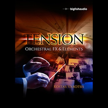 BIG FISH AUDIO TENSION(オンライン納品)(2時間以内に納品)