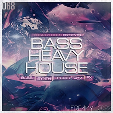 BASS HEAVY HOUSE(オンライン納品)(2時間以内に納品)