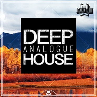 DEEP ANALOGUE HOUSE(オンライン納品)(2時間以内に納品)