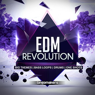 EDM REVOLUTION(オンライン納品)(2時間以内に納品)