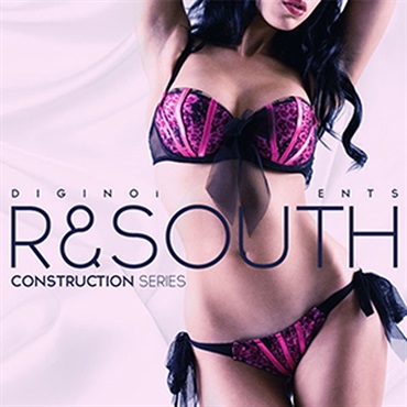 R&SOUTH(オンライン納品)(2時間以内に納品)