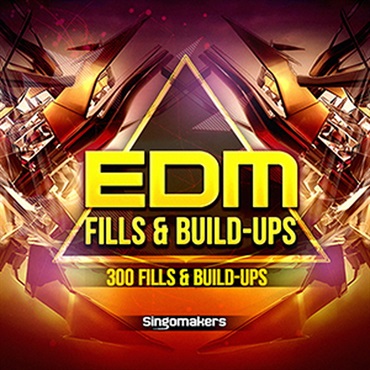 EDM FILLS & BUILD-UPS(オンライン納品)(2時間以内に納品)