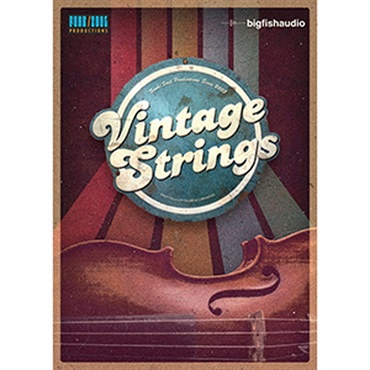 VINTAGE STRINGS(オンライン納品)(2時間以内に納品)