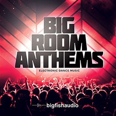 BIG ROOM ANTHEMS(オンライン納品)(2時間以内に納品)