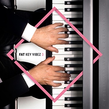 DIGINOIZ FAT KEY VIBEZ 3(オンライン納品)(2時間以内に納品)