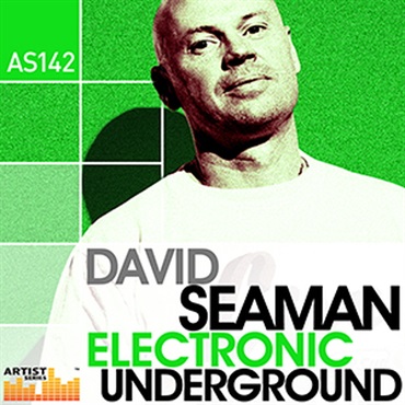 DAVE SEAMAN - ELECTRONIC UNDERGROUND(オンライン納品)(2時間以内に納品)