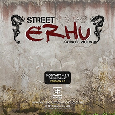 STREET ERHU(オンライン納品)(2時間以内に納品)