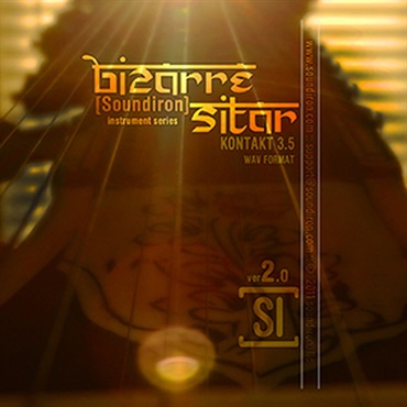 BIZARRE SITAR(オンライン納品)(2時間以内に納品)