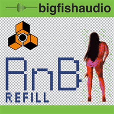 RNB REFILL(オンライン納品)(2時間以内に納品)