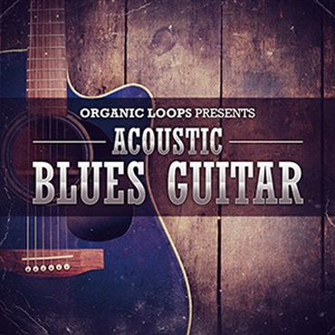 ACOUSTIC BLUES GUITAR(オンライン納品)(2時間以内に納品)