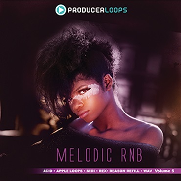 MELODIC RNB VOL.5(オンライン納品)(2時間以内に納品)
