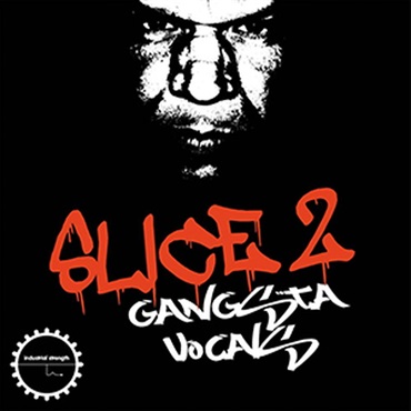 DJ SYKOPATH SLICE VOL 2 - GANGSTA VOCALS(オンライン納品)(2時間以内に納品)