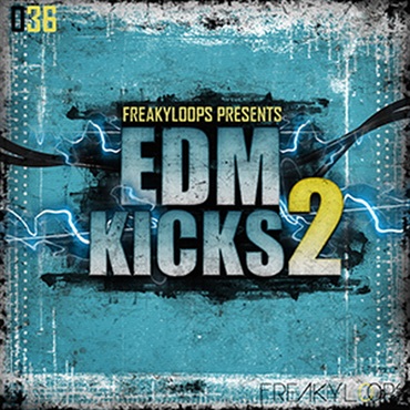 EDM KICKS 2(オンライン納品)(2時間以内に納品)