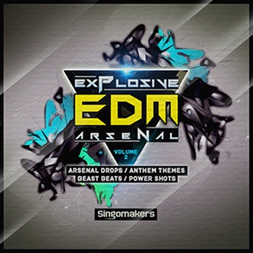 EXPLOSIVE EDM ARSENAL VOL. 2(オンライン納品)(2時間以内に納品)
