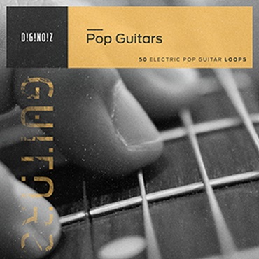 DIGINOIZ POP GUITARS(オンライン納品)(2時間以内に納品)