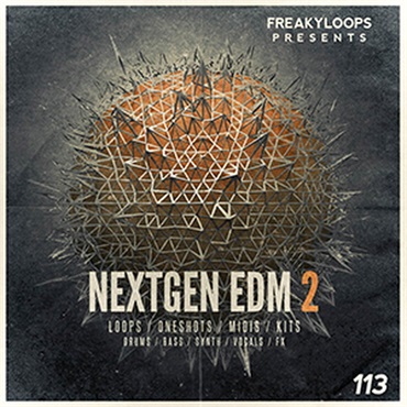 NEXTGEN EDM VOL 2(オンライン納品)(2時間以内に納品)