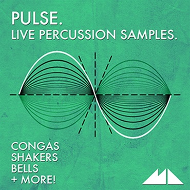 PULSE(オンライン納品)(2時間以内に納品)