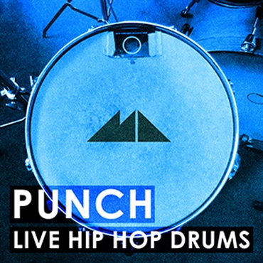 MODEAUDIO PUNCH(オンライン納品)(2時間以内に納品)