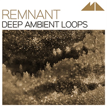 REMNANT(オンライン納品)(2時間以内に納品)