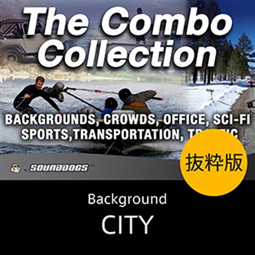 CITY(オンライン納品)(2時間以内に納品)