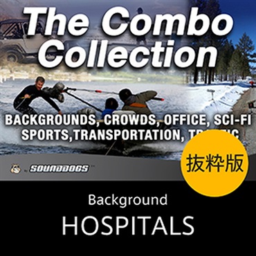 HOSPITALS(オンライン納品)(2時間以内に納品)