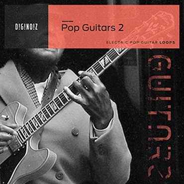 DIGINOIZ POP GUITARS 2(オンライン納品)(2時間以内に納品)