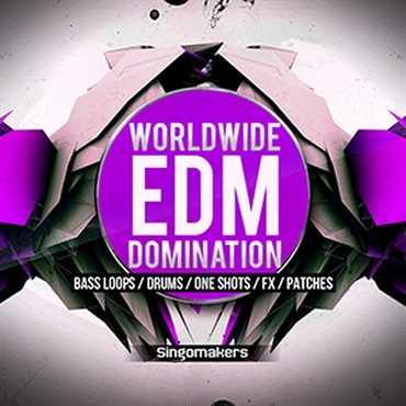 WORLDWIDE EDM DOMINATION(オンライン納品)(2時間以内に納品)