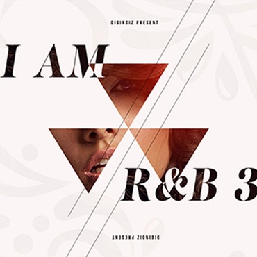 DIGINOIZ I AM R&B 3(オンライン納品)(2時間以内に納品)