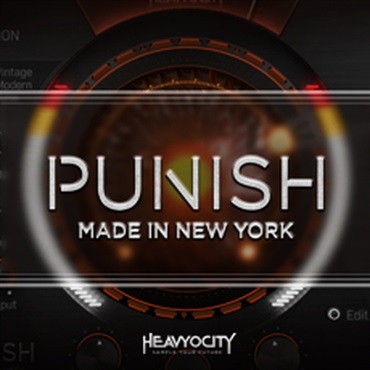 PUNISH(オンライン納品)(2時間以内に納品)