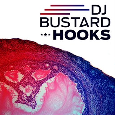 DJ BUSTARD HOOKS(オンライン納品)(2時間以内に納品)