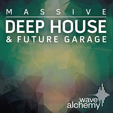 DEEP HOUSE & FUTURE GARAGE - MASSIVE(オンライン納品)(2時間以内に納品)