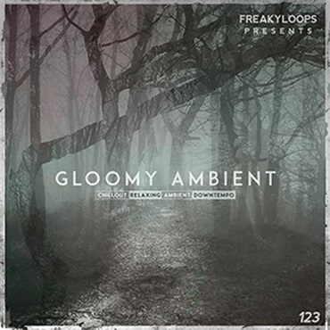 GLOOMY AMBIENT(オンライン納品)(2時間以内に納品)