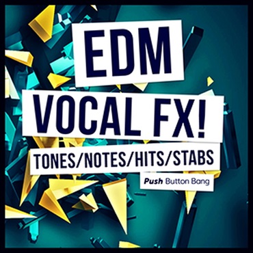 EDM VOCAL FX(オンライン納品)(2時間以内に納品)
