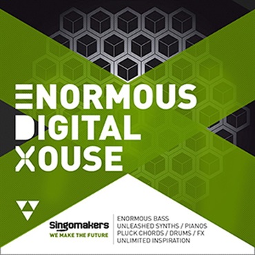 ENORMOUS DIGITAL HOUSE(オンライン納品)(2時間以内に納品)