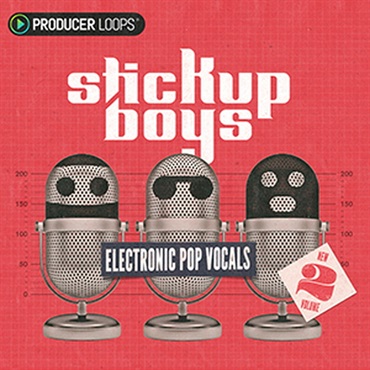 STICK UP BOYS ELECTRONIC POP VOCALS VOL 2(オンライン納品)(2時間以内に納品)