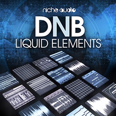 DNB LIQUID ELEMENTS - MASCHINE2(オンライン納品)(2時間以内に納品)
