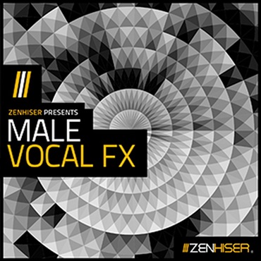 MALE VOCAL FX(オンライン納品)(2時間以内に納品)