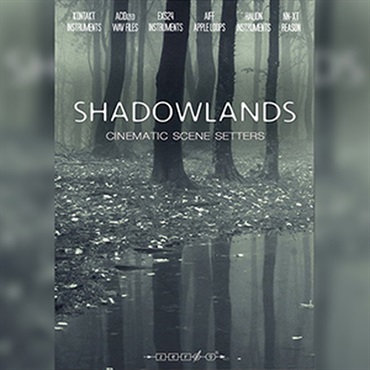 SHADOWLANDS(オンライン納品)(2時間以内に納品)