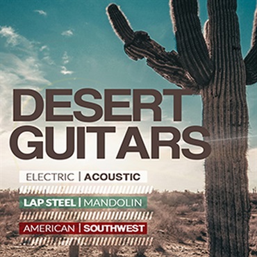 DESERT GUITARS(オンライン納品)(2時間以内に納品)