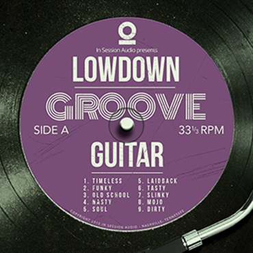 IN SESSION AUDIO LOWDOWN GROOVE GUITAR(オンライン納品)(2時間以内に納品)