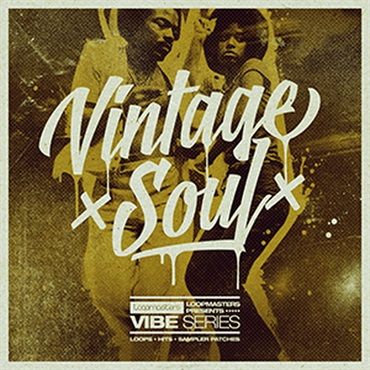 VIBES VOL 3 - VINTAGE SOUL(オンライン納品)(2時間以内に納品)