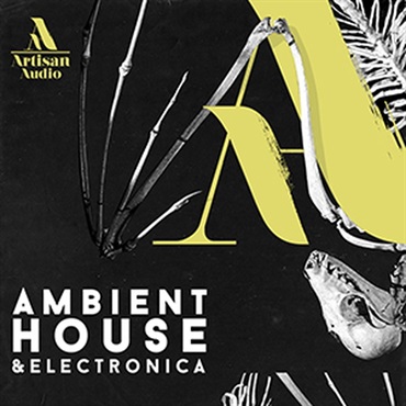 AMBIENT HOUSE & ELECTRONICA(オンライン納品)(2時間以内に納品)